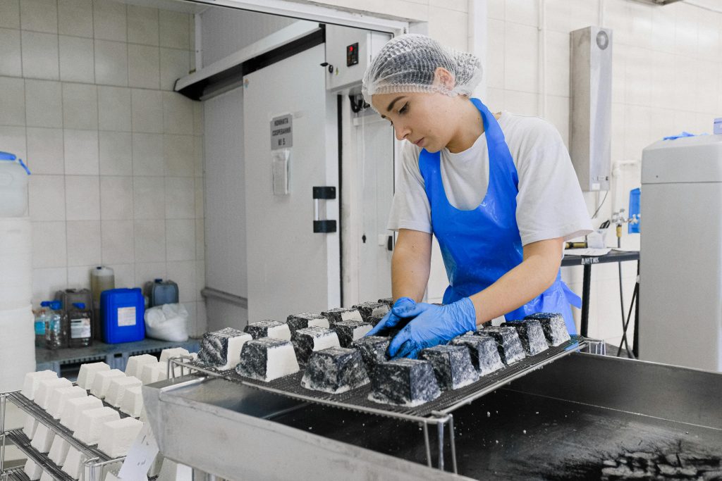 A worker in a cheese factory examines cheese blocks during production, focusing on quality control.